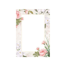 Сертификат Bella 219717 170гр 25бр