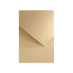 Картон GP Nature 220гр 20бр тъмно бежов