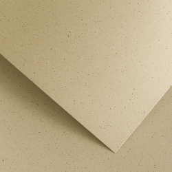 Картон GP Pepper 220гр 20бр кафяв