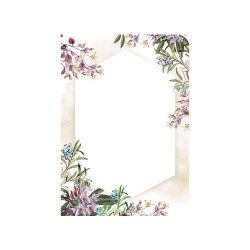 Сертификат Umbria 217517 170гр 25бр