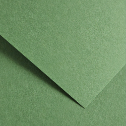 Картон GP Earth 220гр 20бр зелен