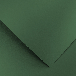 Cardboard GP Pearl 210g 20pcs green