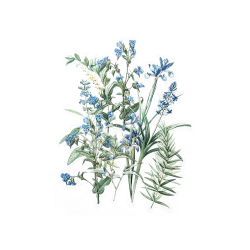 Прозрачни стикери ириси 12бр