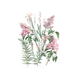 Прозрачни стикери розов кът 12бр