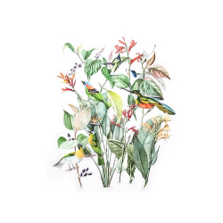 Прозрачни стикери Exotic Garden 12бр