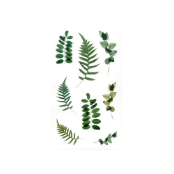 Прозрачни стикери папрат и евкалипт 38бр