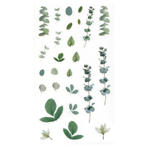Прозрачни стикери папрат и евкалипт 38бр, 1000000000051966 03 
