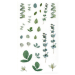 Прозрачни стикери папрат и евкалипт 38бр, 1000000000051966 04 