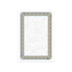 Сертификат Silver 210117 170гр 25бр