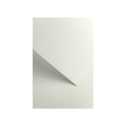 Картон Florida 220гр 20бр бял