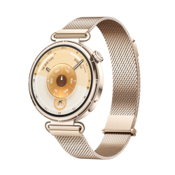 Huawei Watch GT 6 Konusu-B19M, Milanese