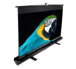 Elite Screen Electric Projection Screen F100NWH