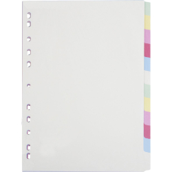 cardboard divider A4 12 col.