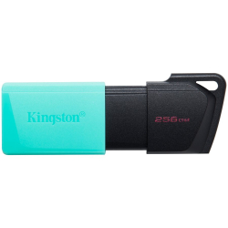 Памет USB 3.2 256GB Kingston DataTraveler Exodia M