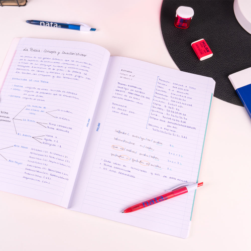 Тетрадка А4 Milan Nata 624 зелена МК 48л, 1000000000052583 04 