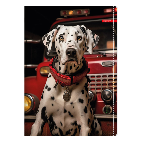 Notebook A5 Ilijanum Pets UV 60 sheets, 1000000000048370 08 
