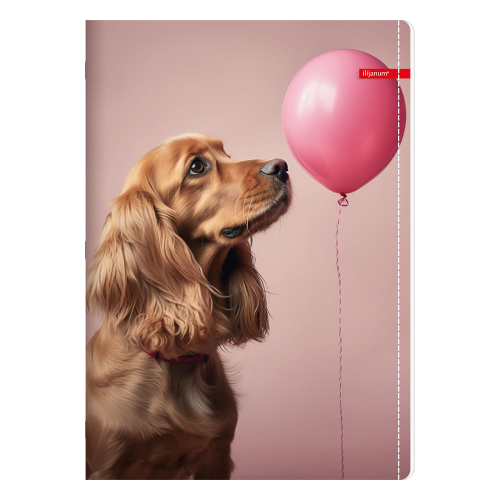 Тетрадка A4 Ilijanum Pets UV 40л офсет, 1000000000048366 06 