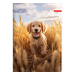 Notebook A4 Ilijanum Pets UV 60 sheets, 1000000000048367 10 