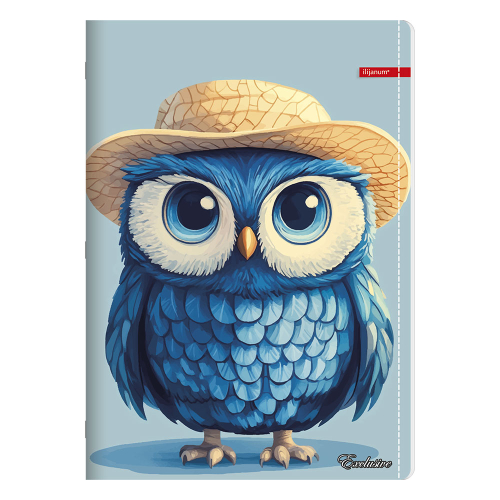 Notebook A5 Ilijanum Exclusive Girl 40sh, 1000000000048349 04 