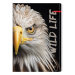 Тетрадка A5 Ilijanum Wild Life UV 60л, 1000000000052699 10 