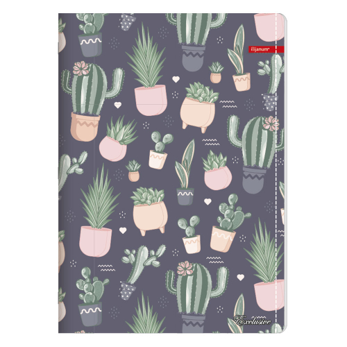 Notebook A4 Ilijanum Exclusive Girl 60sh, 1000000000048347 11 