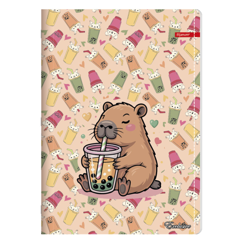 Тетрадка A4 Ilijanum Exclusive Girl 40л, 1000000000052413 05 