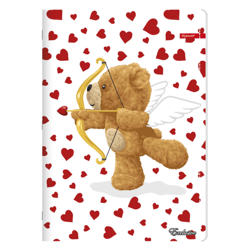 Тетрадка A5 Ilijanum Exclusive Girl 8/8, 1000000000052408 04 