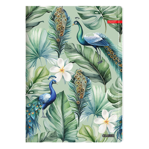 Notebook A4 Ilijanum Classic Girl 60sh, 1000000000045684 02 