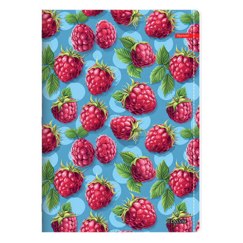 Notebook A4 Ilijanum Classic Girl 60sh, 1000000000045684 08 