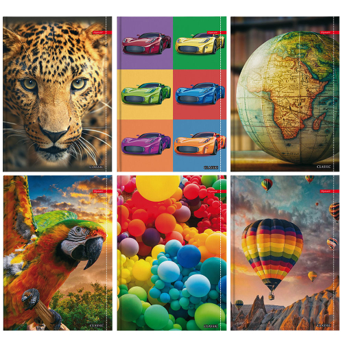 Тетрадка A4 Ilijanum Classic ТК 80л офс, 1000000000045629 02 