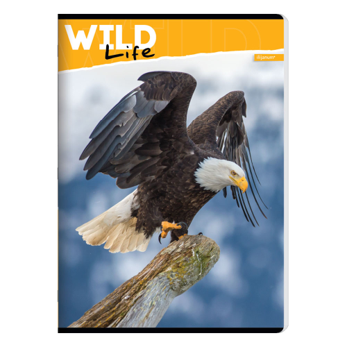 Notebook A5 Ilijanum Wild Life UV 52sh, 1000000000048365 02 