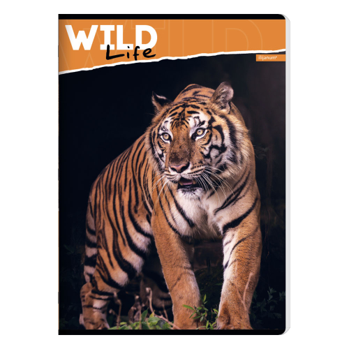 Notebook A5 Ilijanum Wild Life UV 52sh, 1000000000048365 06 