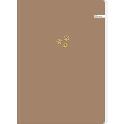 Notebook А4 Ilijanum Soft Touch 96 sheet, 1000000000045663 04 