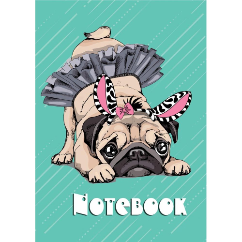 Тетрадка A4 ШР МК 40л офсет, 1000000010900040 02 