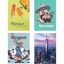 Тетрадка A4 ШР МК 40л офсет