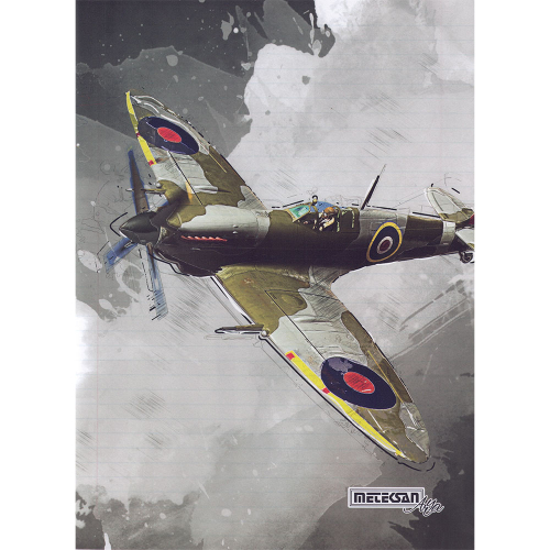 Тетрадка A4 Arya асорти PP 60л, 1000000000036139 09 