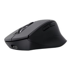 Trust Wireless mouse Niven Comfort, Black