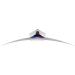Геймърски монитор Samsung LS49DG934SUXEN, 49' OLED DQHD, Curved, 2008806095700656 05 