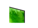 Смарт телевизор Samsung 65QN80H 65