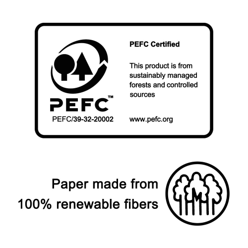 Copy paper Zap A4 80g 500 sheets, 1000000000046000 04 