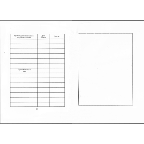 Immunization Passport A5, 1000000000009776 06 