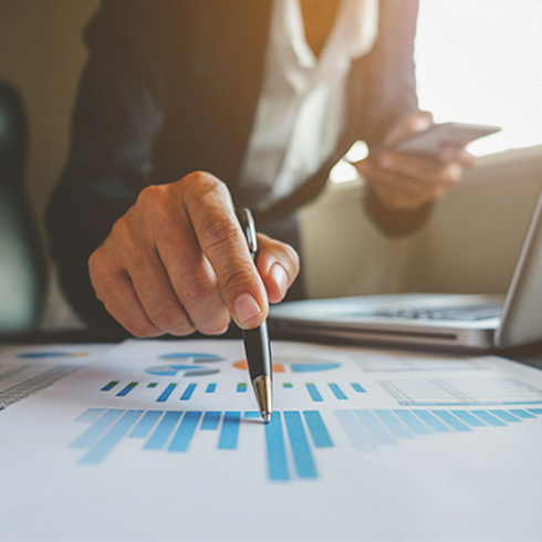 How to check a company's annual financial statement?