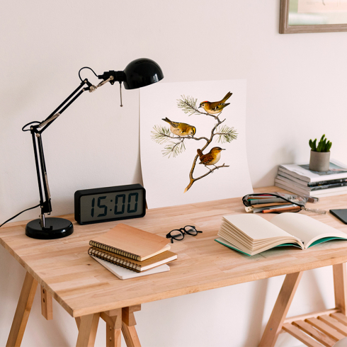 How to choose a desk for a home office?