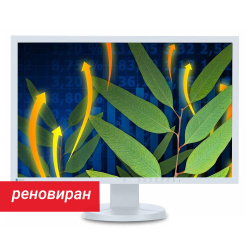 Реновиран монитор Eizo FlexScan EV2436W 24.1\