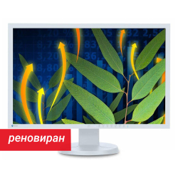 Реновиран монитор Eizo FlexScan EV2416W 24.1\
