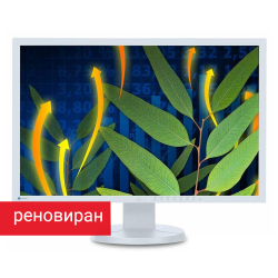 Refurbished Eizo FlexScan EV2416W monitor 24.1\