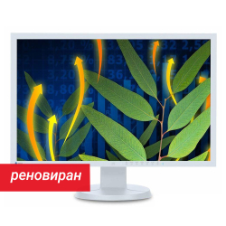 Реновиран монитор Eizo FlexScan EV2416W 24.1\
