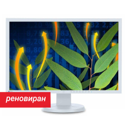 Реновиран монитор Eizo FlexScan EV2416W 24.1\